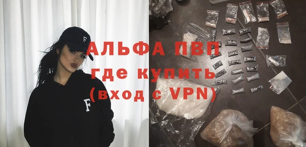 индика Богородск