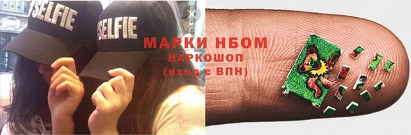 индика Богородск