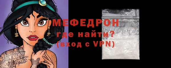 индика Богородск