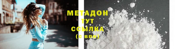 индика Богородск