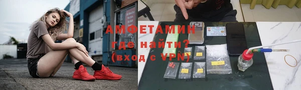 индика Богородск
