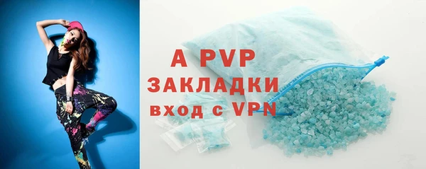 индика Богородск