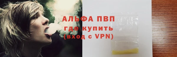 индика Богородск