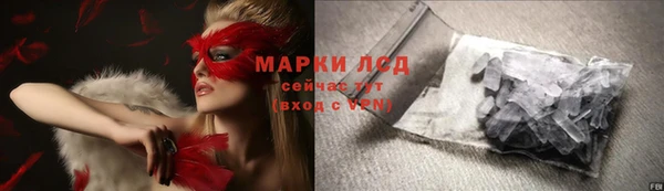 индика Богородск
