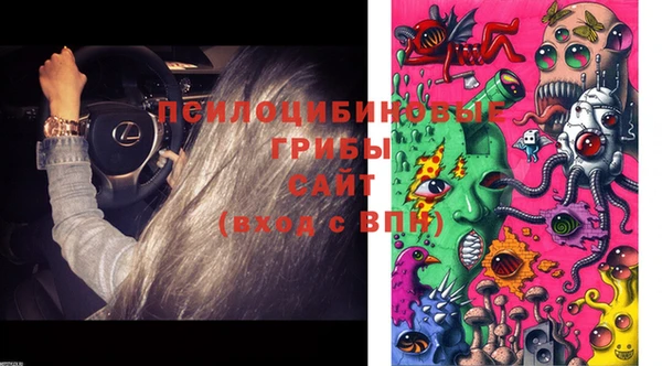 бошки Богданович