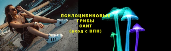 индика Богородск