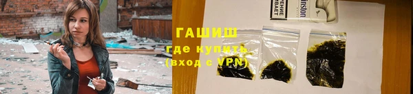 индика Богородск