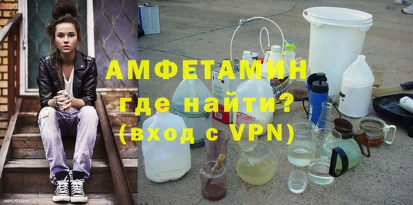 индика Богородск