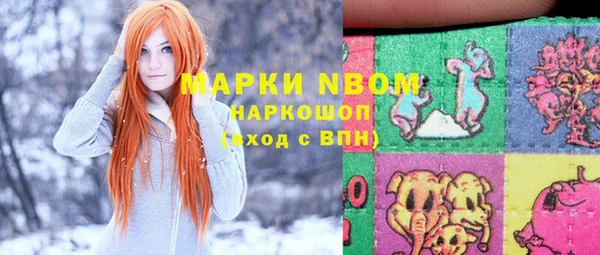 индика Богородск