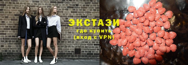 индика Богородск